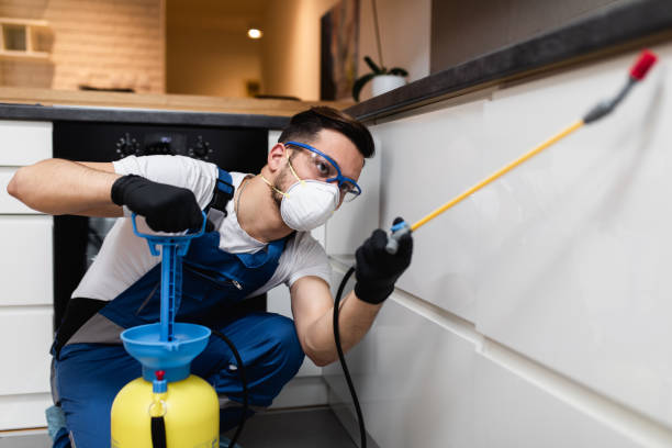 Best Residential Pest Control  in Murraysville, NC