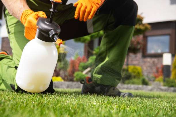 Best Pest Control Treatment  in Murraysville, NC