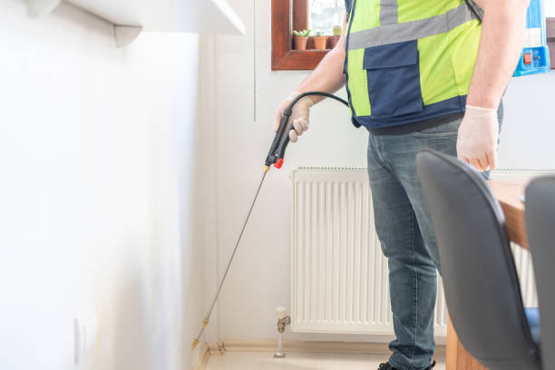 Best Termite Control Services  in Murraysville, NC