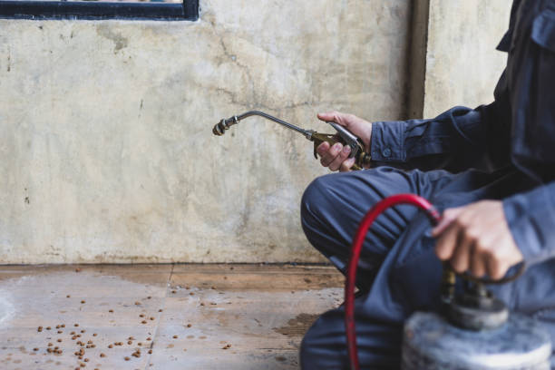 Best Pest Removal Services  in Murraysville, NC